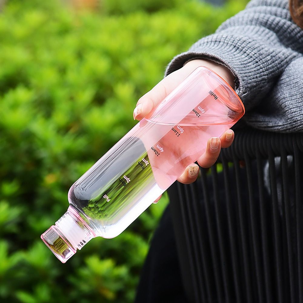 500/750ML Waterfles INS Stijl  - Coffee Tea Flask recensie en prijs