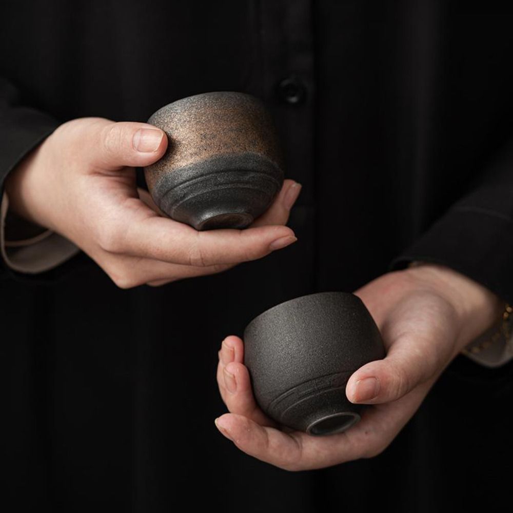 Huishoudelijke Japanse steengo - Coffee Tea Flask recensie en prijs